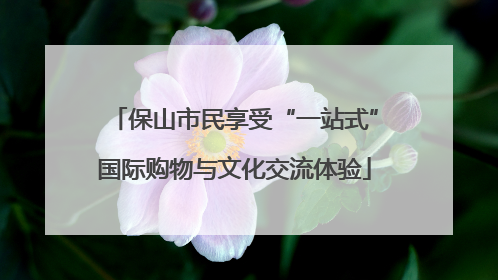 保山市民享受“一站式”国际购物与文化交流体验