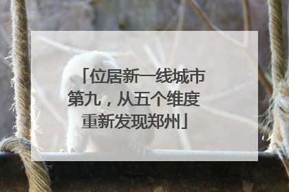 位居新一线城市第九，从五个维度重新发现郑州