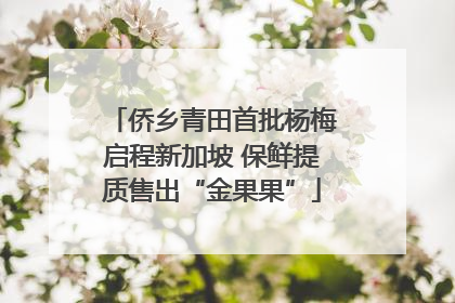 侨乡青田首批杨梅启程新加坡 保鲜提质售出“金果果”
