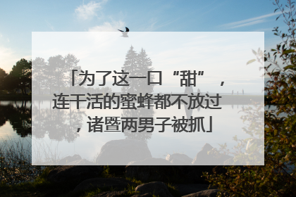 为了这一口“甜”，连干活的蜜蜂都不放过，诸暨两男子被抓