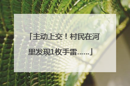 主动上交！村民在河里发现1枚手雷……