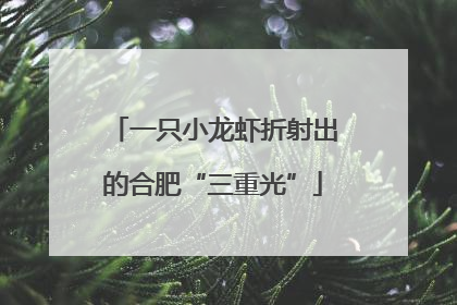 一只小龙虾折射出的合肥“三重光”