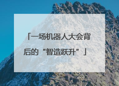一场机器人大会背后的“智造跃升”