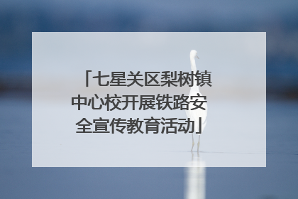 七星关区梨树镇中心校开展铁路安全宣传教育活动