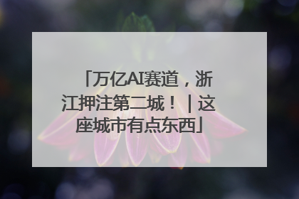 万亿AI赛道，浙江押注第二城！｜这座城市有点东西