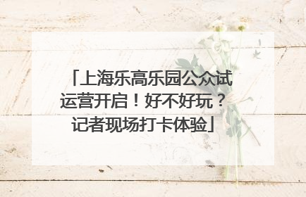 上海乐高乐园公众试运营开启！好不好玩？记者现场打卡体验