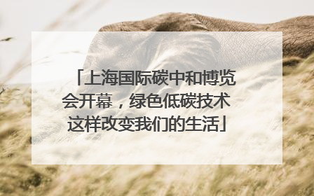 上海国际碳中和博览会开幕，绿色低碳技术这样改变我们的生活