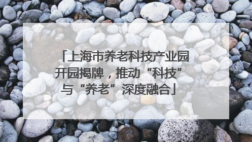 上海市养老科技产业园开园揭牌，推动“科技”与“养老”深度融合