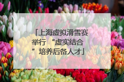 上海虚拟滑雪赛举行 “虚实结合”培养后备人才