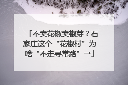 不卖花椒卖椒芽？石家庄这个“花椒村”为啥“不走寻常路”→