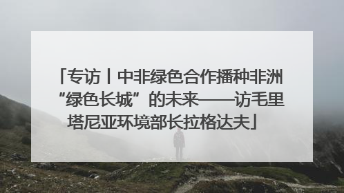 专访丨中非绿色合作播种非洲“绿色长城”的未来——访毛里塔尼亚环境部长拉格达夫