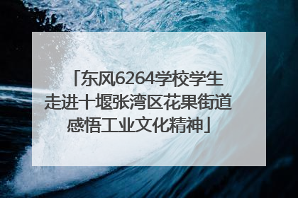 东风6264学校学生走进十堰张湾区花果街道感悟工业文化精神