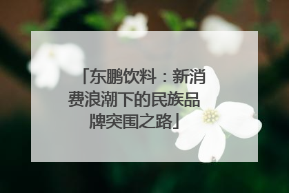 东鹏饮料：新消费浪潮下的民族品牌突围之路