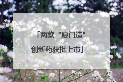 两款“厦门造”创新药获批上市