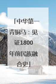 中华第一青铜马：见证1800年前民族融合史