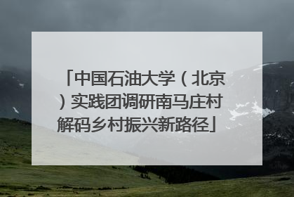 中国石油大学（北京）实践团调研南马庄村解码乡村振兴新路径