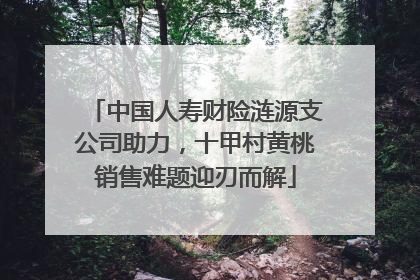 中国人寿财险涟源支公司助力，十甲村黄桃销售难题迎刃而解