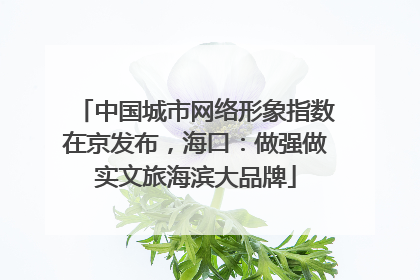 中国城市网络形象指数在京发布，海口：做强做实文旅海滨大品牌