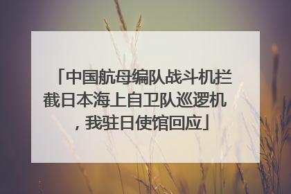中国航母编队战斗机拦截日本海上自卫队巡逻机，我驻日使馆回应