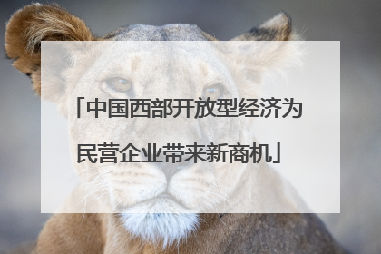 中国西部开放型经济为民营企业带来新商机