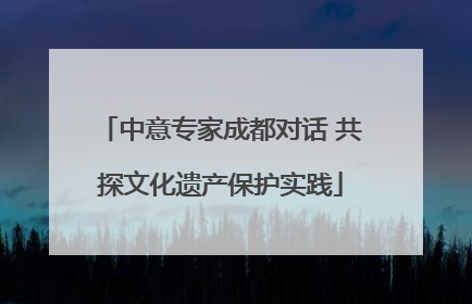 中意专家成都对话 共探文化遗产保护实践