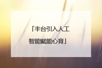 丰台引入人工智能赋能心育