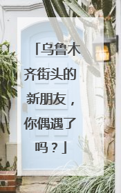 乌鲁木齐街头的新朋友，你偶遇了吗？