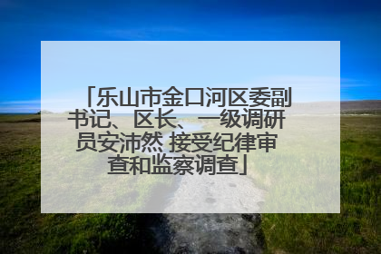 乐山市金口河区委副书记、区长、一级调研员安沛然 接受纪律审查和监察调查
