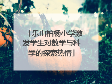 乐山柏杨小学激发学生对数学与科学的探索热情