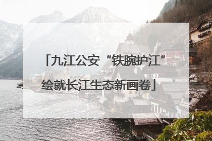 九江公安“铁腕护江”绘就长江生态新画卷