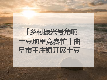乡村振兴号角响 土豆地里竞赛忙｜曲阜市王庄镇开展土豆收获劳动竞赛