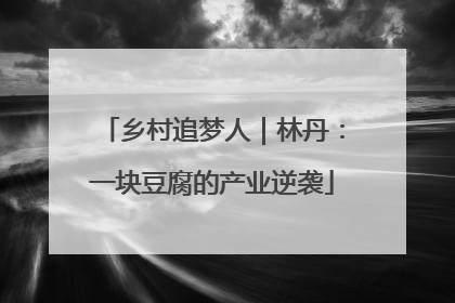 乡村追梦人｜林丹：一块豆腐的产业逆袭
