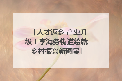 人才返乡 产业升级！李海务街道绘就乡村振兴新图景
