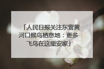 人民日报关注东营黄河口候鸟栖息地：更多飞鸟在这里安家