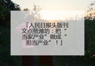 人民日报头版刊文点赞潍坊：把“当家产业”做成“担当产业”！