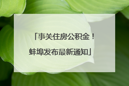 事关住房公积金！蚌埠发布最新通知