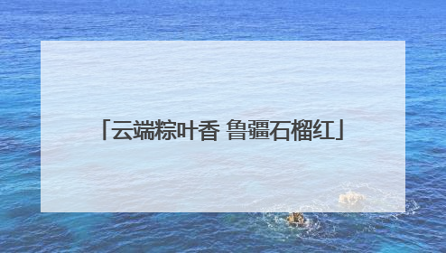 云端粽叶香 鲁疆石榴红