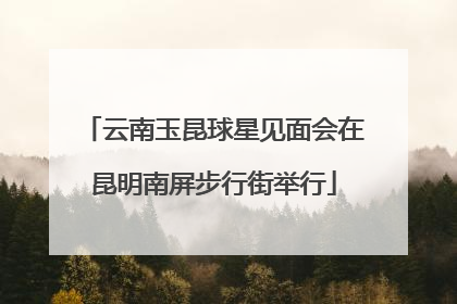 云南玉昆球星见面会在昆明南屏步行街举行