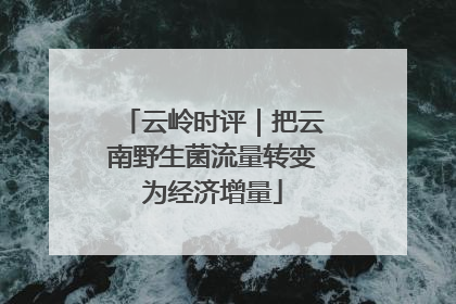 云岭时评｜把云南野生菌流量转变为经济增量