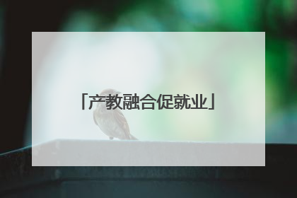 产教融合促就业