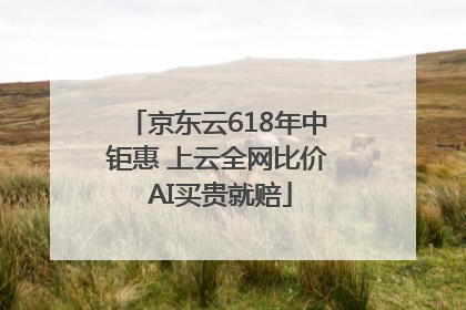 京东云618年中钜惠 上云全网比价 AI买贵就赔