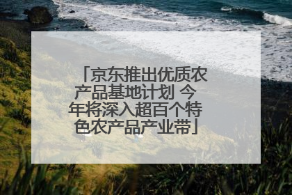 京东推出优质农产品基地计划 今年将深入超百个特色农产品产业带