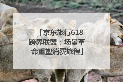 京东旅行618跨界联盟：场景革命重塑消费旅程