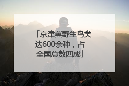京津冀野生鸟类达600余种，占全国总数四成