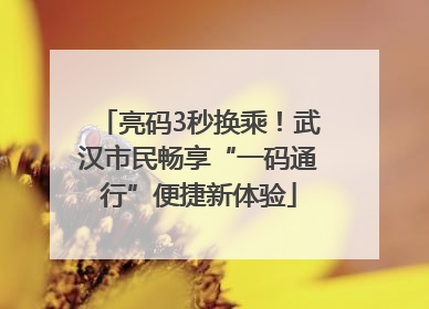 亮码3秒换乘！武汉市民畅享“一码通行”便捷新体验