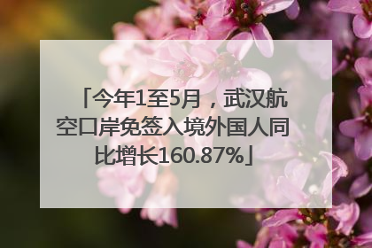 今年1至5月，武汉航空口岸免签入境外国人同比增长160.87%