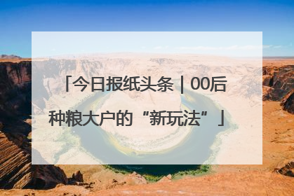 今日报纸头条｜00后种粮大户的“新玩法”