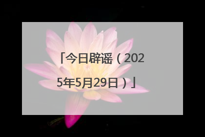今日辟谣（2025年5月29日）