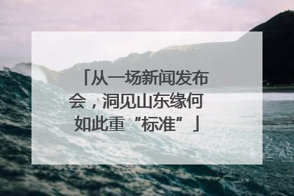 从一场新闻发布会，洞见山东缘何如此重“标准”