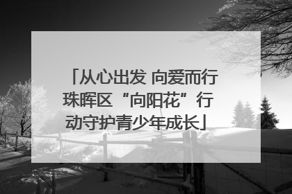 从心出发 向爱而行 珠晖区“向阳花”行动守护青少年成长